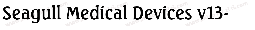 Seagull Medical Devices v13字体转换